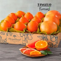 Табак Fumari Мандарин+Грейпфрут (Tangelo), 100 грамм